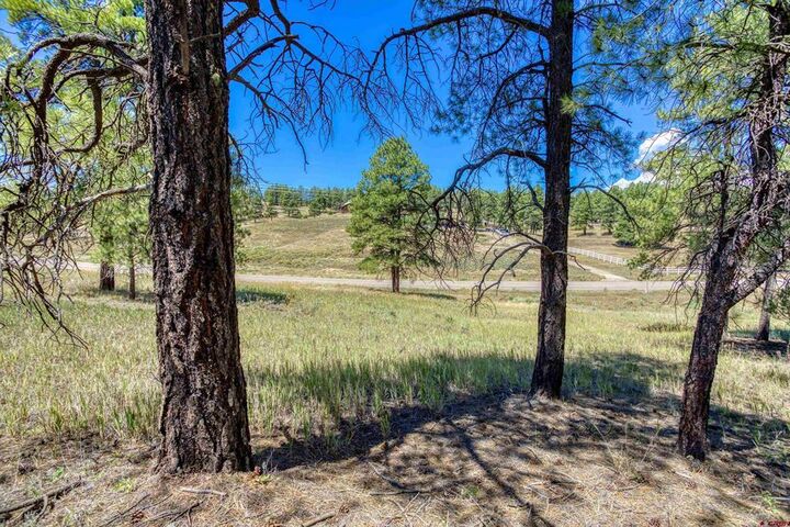 Property Photo: 233 Stagecoach Lane CO 81147
