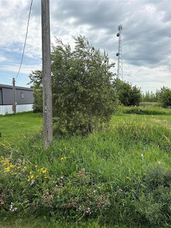 Property Photo:  18 Hackberry Avenue West  MB R0H 0K0 