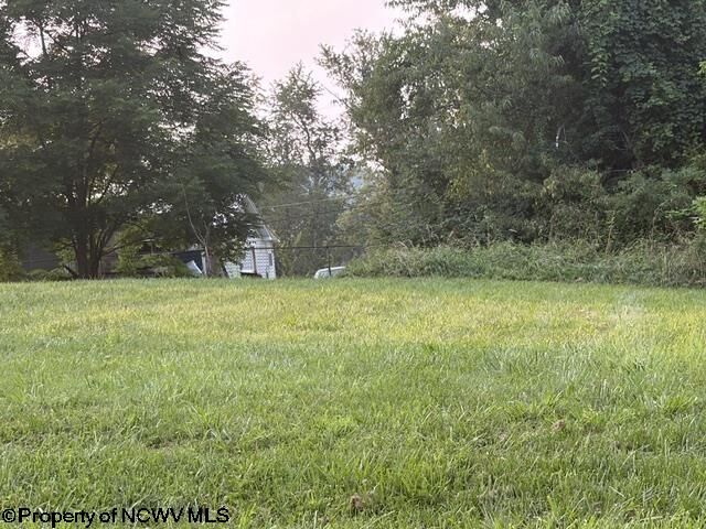 Property Photo: Lots 8-9 Holbert Avenue Next To 44 Holbert House WV 26554