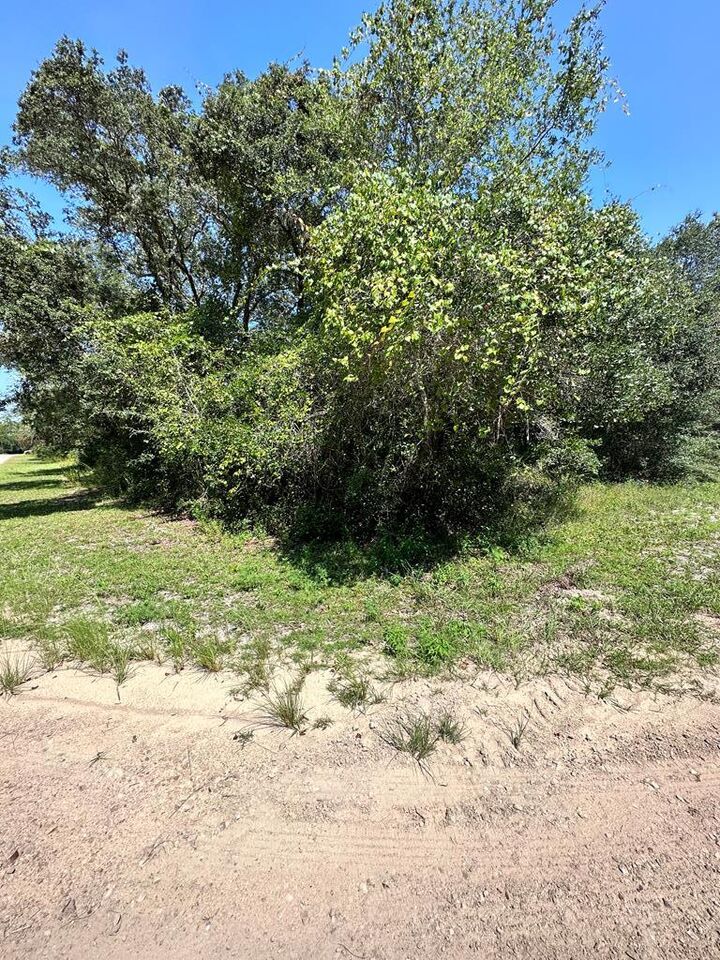 Property Photo: 2530 Oleander Ter FL 32323
