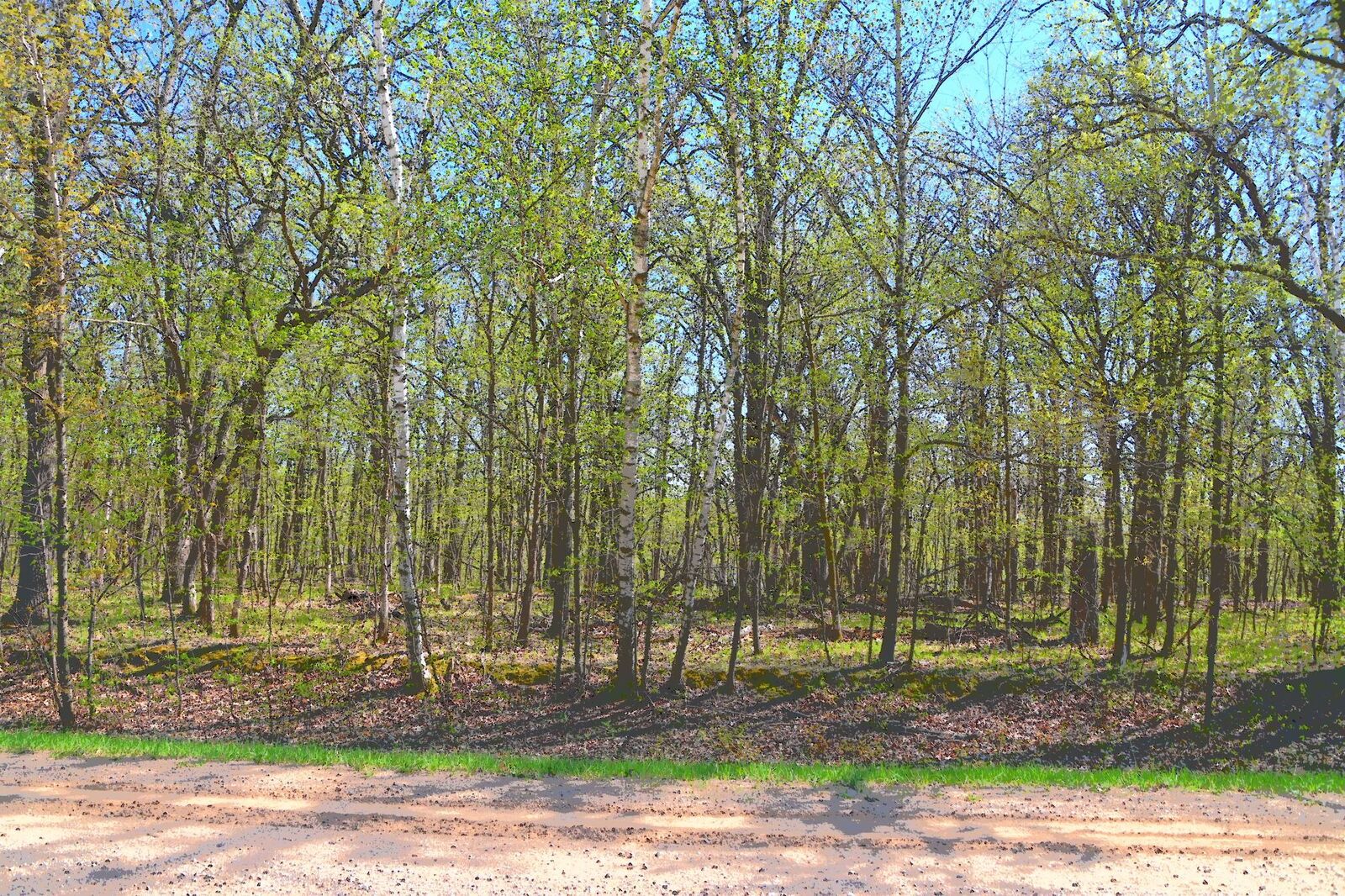 Property Photo:  Tbd 392 Street  MN 56438 