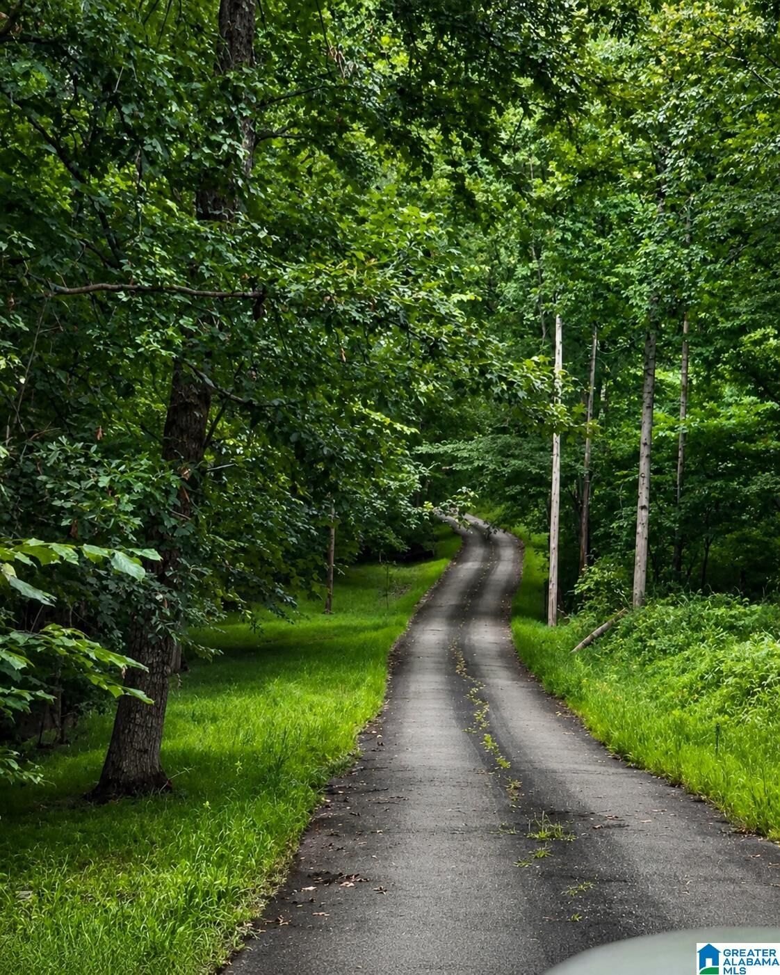 Property Photo: 18818 US Highway 411 18818 AL 35146