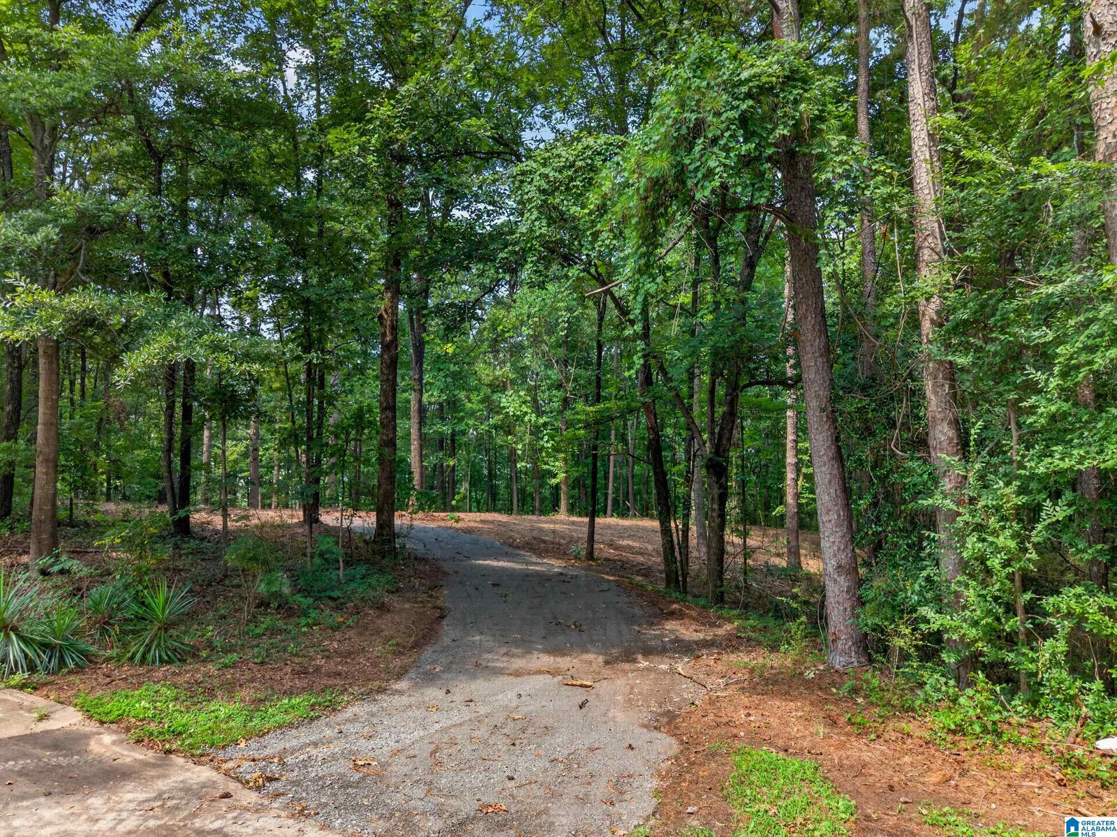 Property Photo: 0 Hilltop Street 5 AL 35125