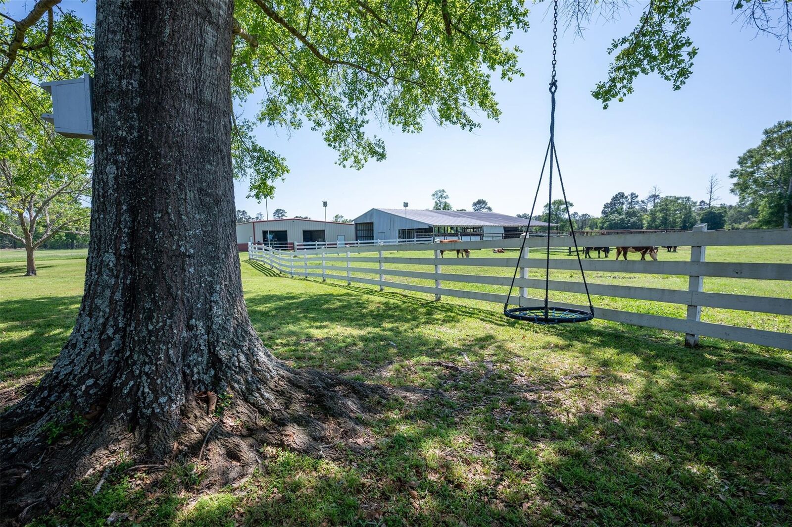 Property Photo: 219 County Road 4800 TX 77664