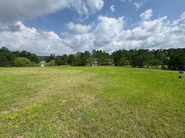 Property Photo: 37 Silver Lakes Drive TX 77340