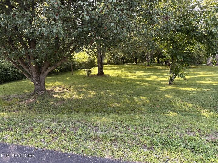 Property Photo: 135 Ogana Way TN 37774
