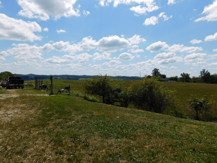 Property Photo: 390 Meeting House Branch Road KY 41425