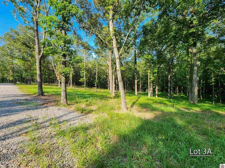 Property Photo: Lot 3A Serenity Village Drive KY 42025