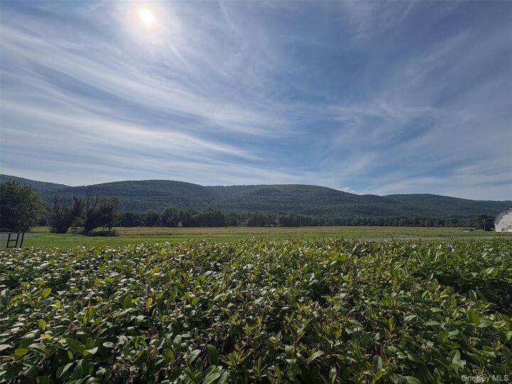 Property Photo: 8532 Route 209 NY 12428