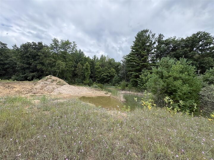 Property Photo: Vl 5 Mile Road MI 49336
