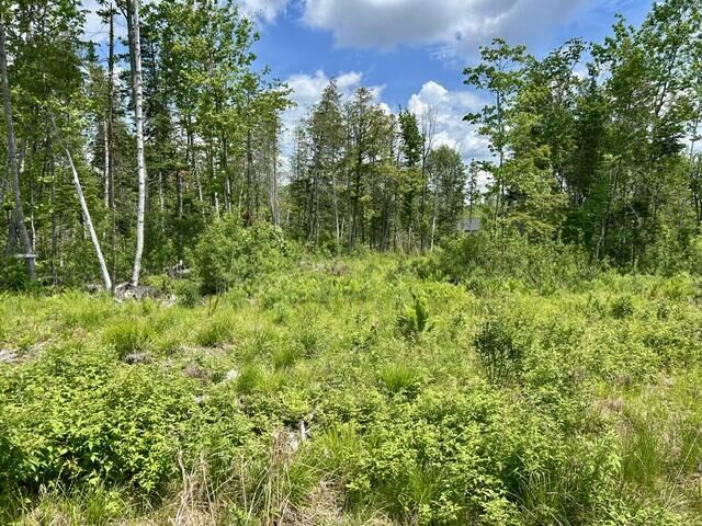 Property Photo: Lot 2 Hammond Brook Road Road ME 04464