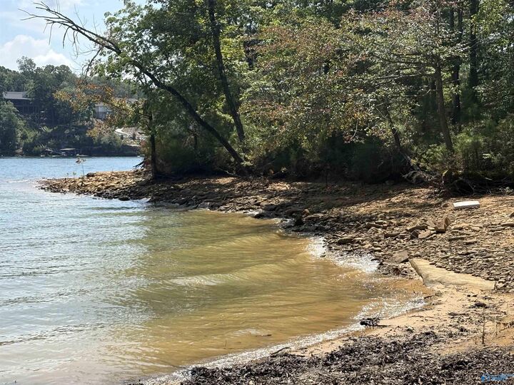 Property Photo: 41 Acres Big Bear Branch Road AL 35553