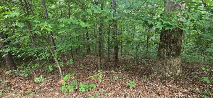 Property Photo:  Lot 9 Harris Creek Drive  GA 30540 