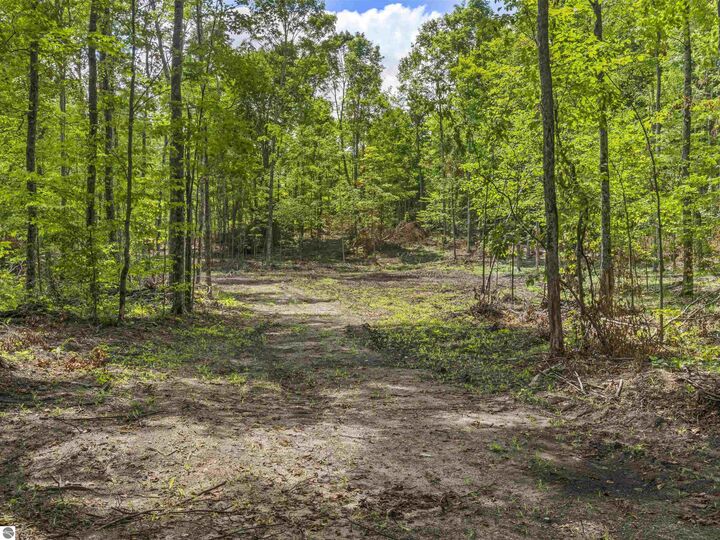 Property Photo:  00 Valencourt Road  MI 49625 