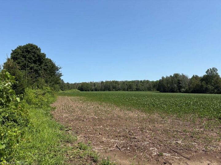 Property Photo:  1194 Concession 14 W  ON N0G 2S0 