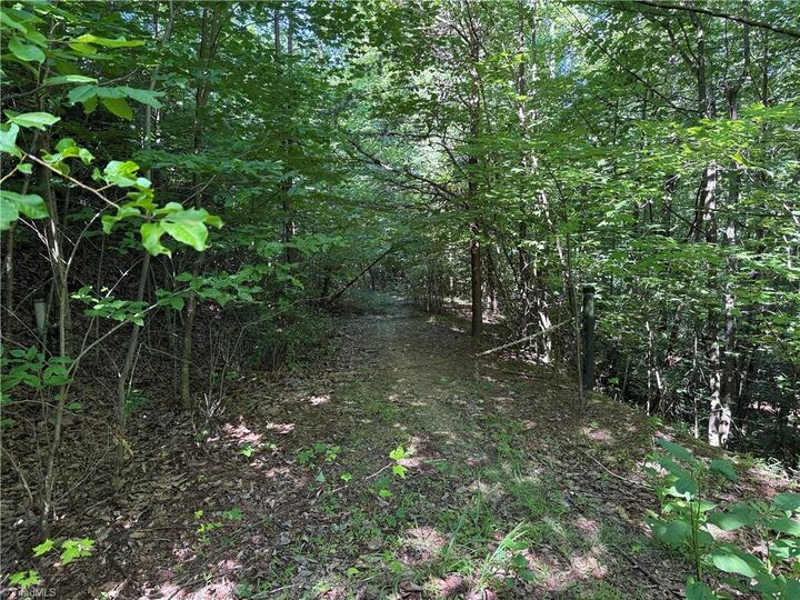 Property Photo: Lot 222 Casey Mountain Road NC 28665