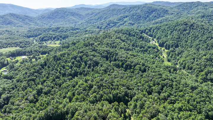 Property Photo:  390 Fiddlers Branch Road  TN 37658 