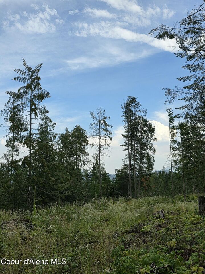 Property Photo:  Nna Westside Rd Parcel10  ID 83805 
