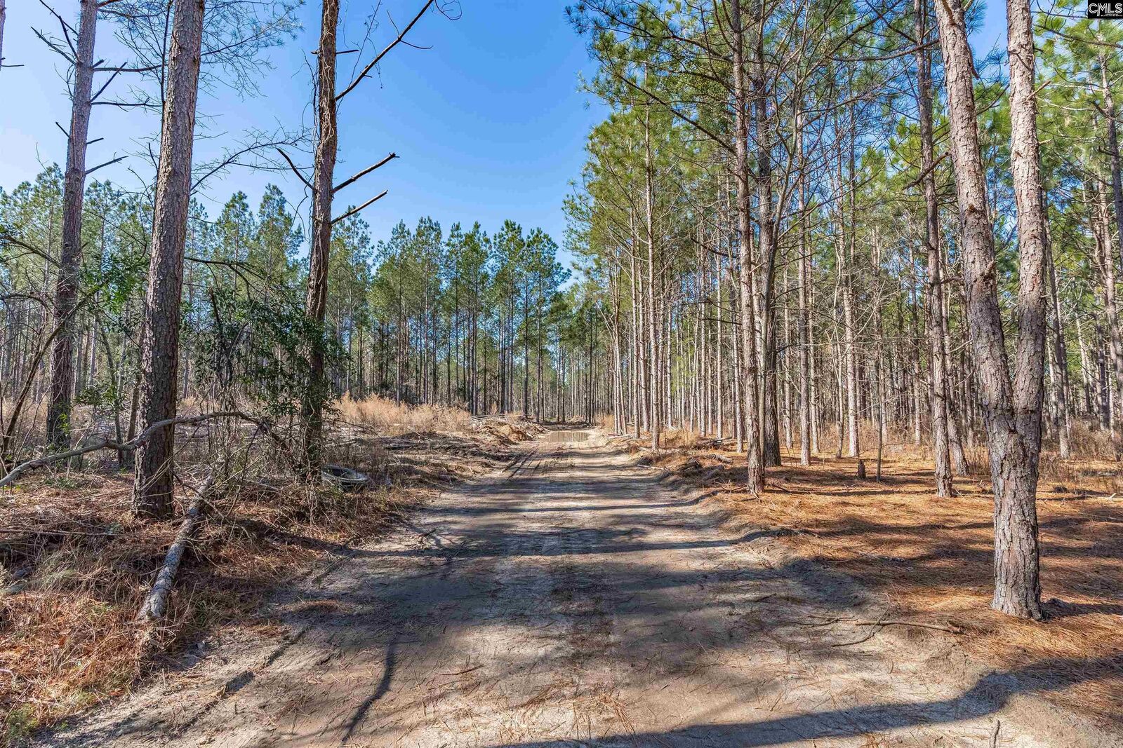 Property Photo:  Lot #4 Fairview 008200-07-010  SC 29006 