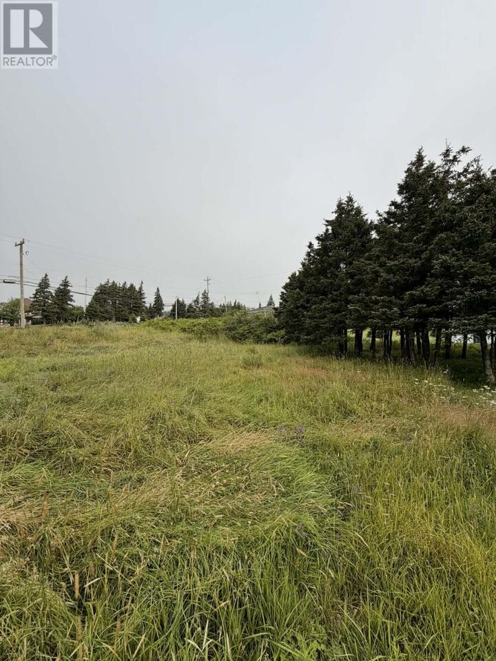 Property Photo:  4-6 Lahey's Lane  NL A0A 1H0 