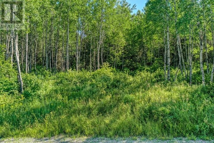 Property Photo:  0 Husky Trail Road  ON P0M 2G0 
