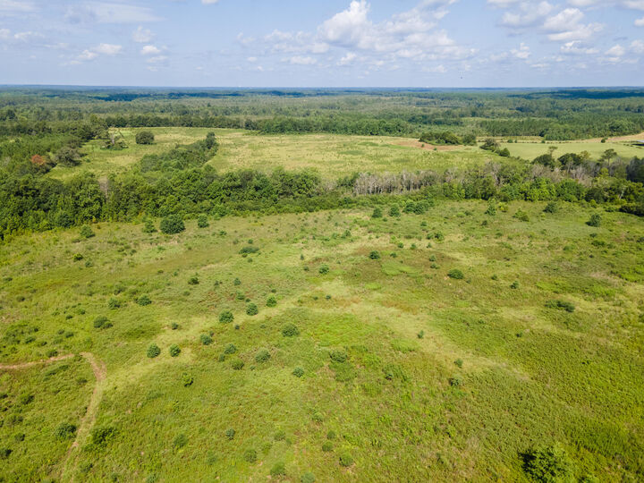 Property Photo: Lot 7 Campbell Road FL 32435