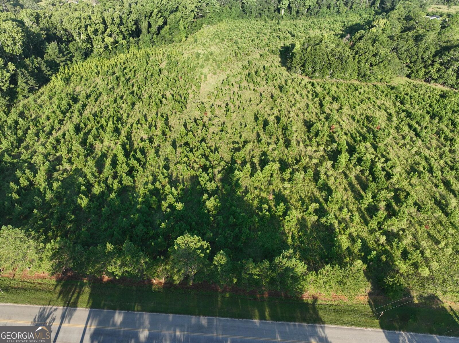Property Photo: 0 Ben Grady Collins Road GA 30450