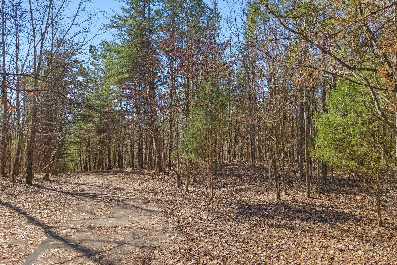 Property Photo: 0 Ware Farms Road TN 37381