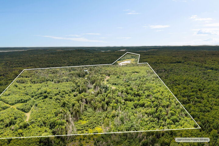 Property Photo:  M002l035 Route 191(Cutler Rd) Road  ME 04655 
