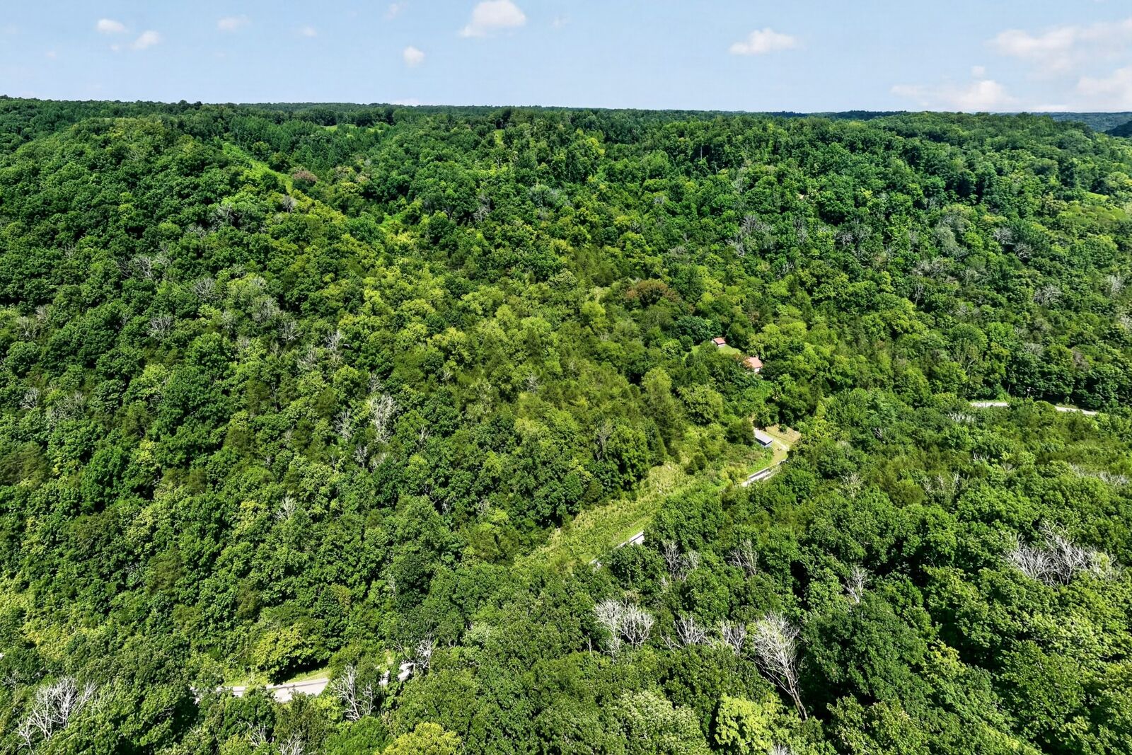 Property Photo:  2949 Wilmouth Creek Rd  TN 37095 