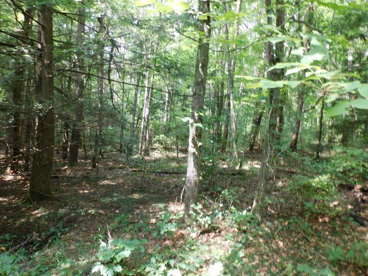 Property Photo: 0 Old Highway 56 TN 37313