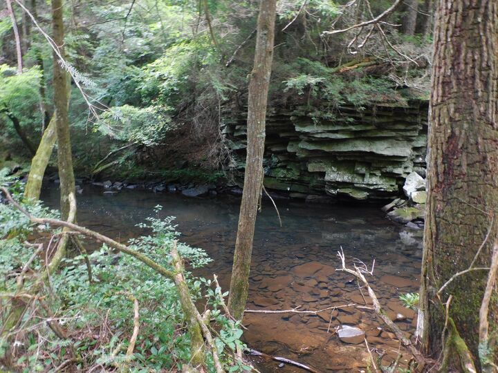 Property Photo: 0 Old Highway 56 TN 37313