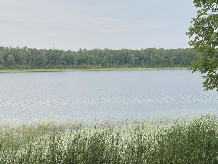 Property Photo:  Tbd Wolf Ridge Drive  MN 56633 