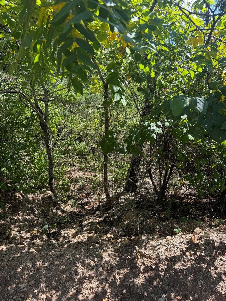 Property Photo:  Tbd (Lot 25) Cardinal Lane  AR 72644 