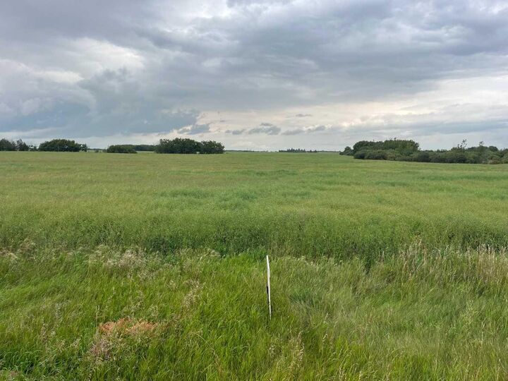 Property Photo:  316 Niblock Street  AB T0B 0J0 