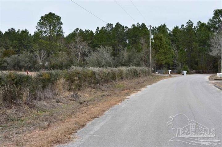 Property Photo:  0001 Pat Brown Rd  FL 32570 