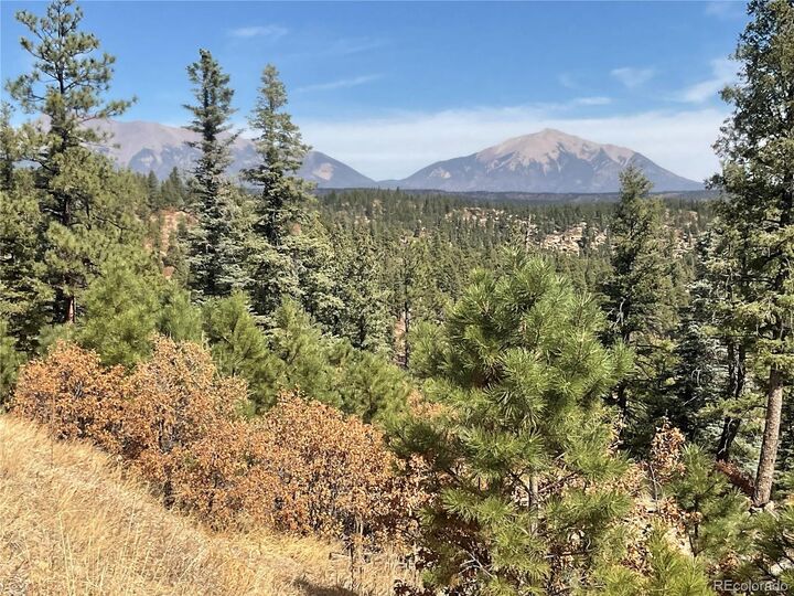 Property Photo: 160 Acres San Pablo Canyon CO 81091