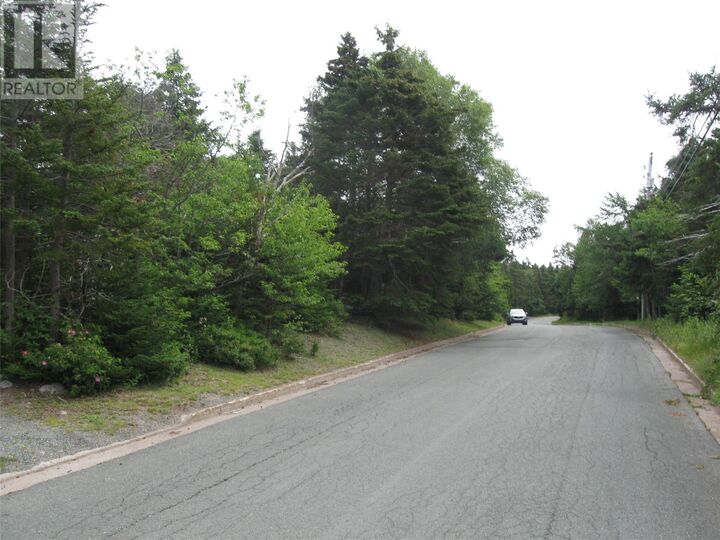 Property Photo:  53 B Lawrence Pond Road East  NL A1X 4C6 