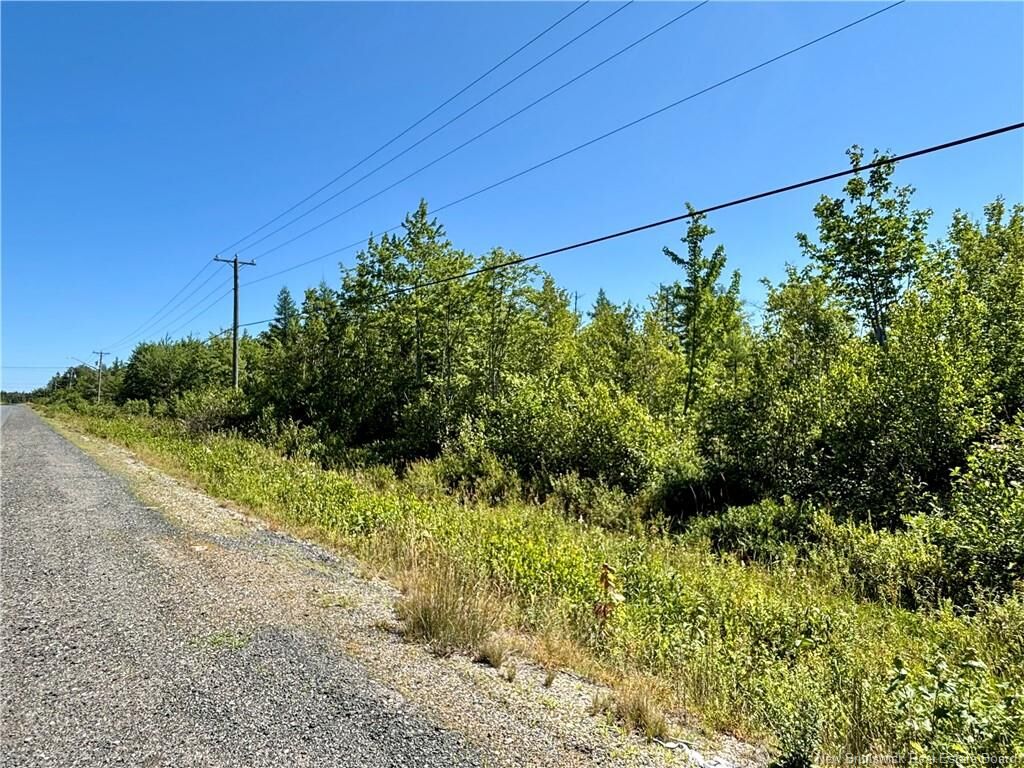 Property Photo:  2.06 Acres Rte 117  NB E1N 5M8 