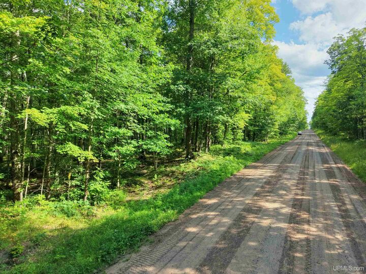 Property Photo:  Tbd S Laird Road  MI 49952 