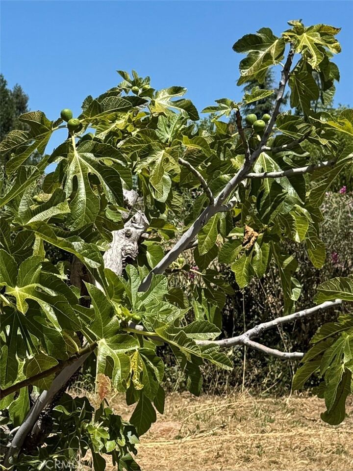Property Photo: 925 Wagstaff Road CA 95969