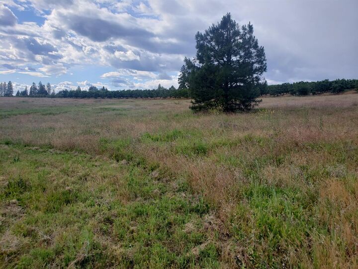 Property Photo:  10 Braeburn Lane  CA 95667 