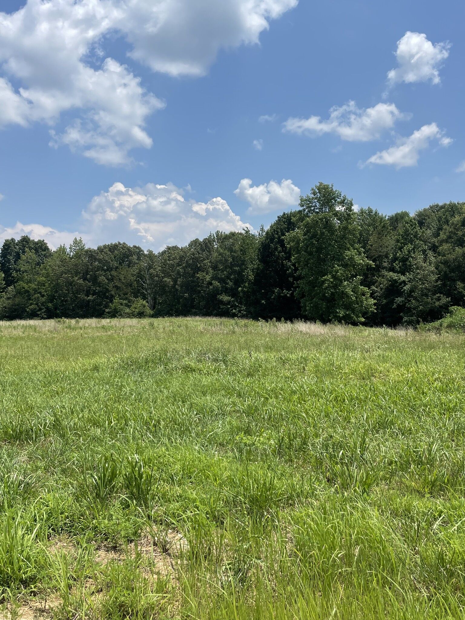 Property Photo: 0 Summer Lake Ct TN 37398
