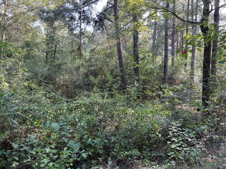 Property Photo:  348 Marshall Ivy Road  TX 75949 