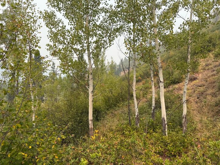 Property Photo: 51xx Northport-Waneta Rd WA 99114