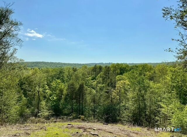 Property Photo:  0 Hendee Road  CT 06232 