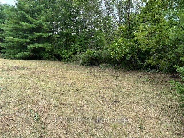 Property Photo:  Lot 5 &Amp 6 Rp 18 Noonan Road  ON K0K 3K0 