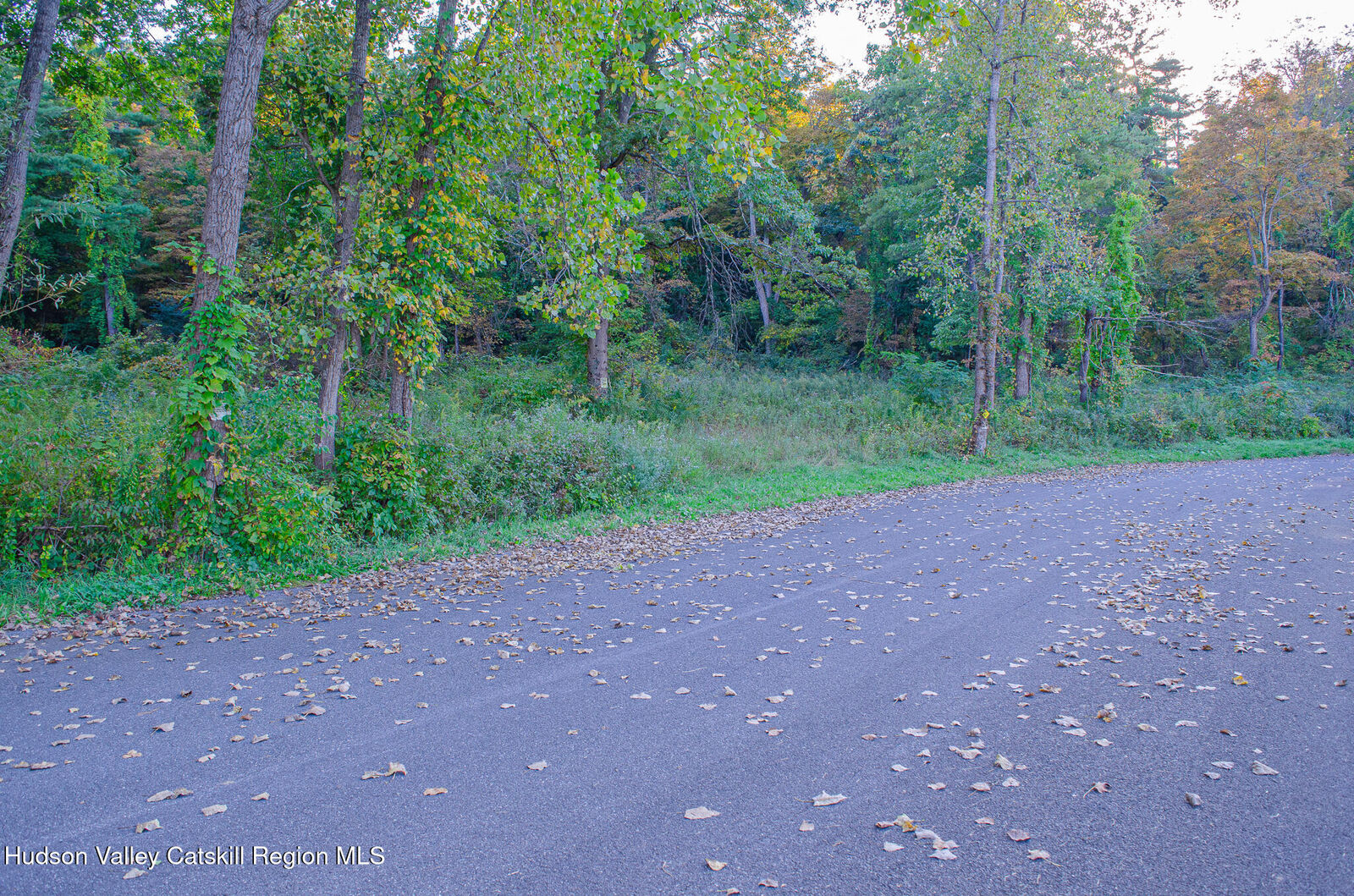 Property Photo:  37 Tiger Maple  NY 12477 