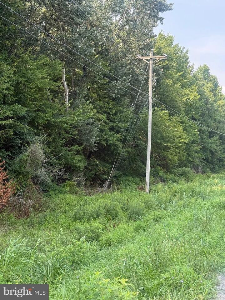 Property Photo: Parcel 38 Goldsboro Road MD 21607
