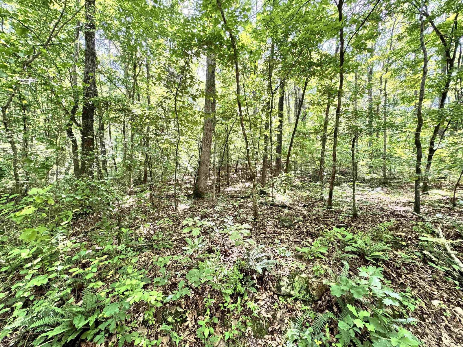 Property Photo: 00 Red River Road AR 72051